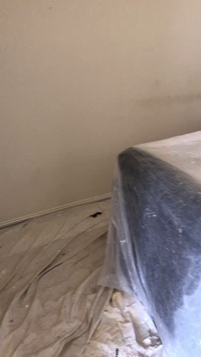 Transform Painting Services — photo 3