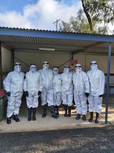 Bendigo Professional Cleaning Service