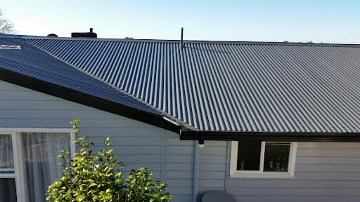 De Groot Roof Painting — listing photo
