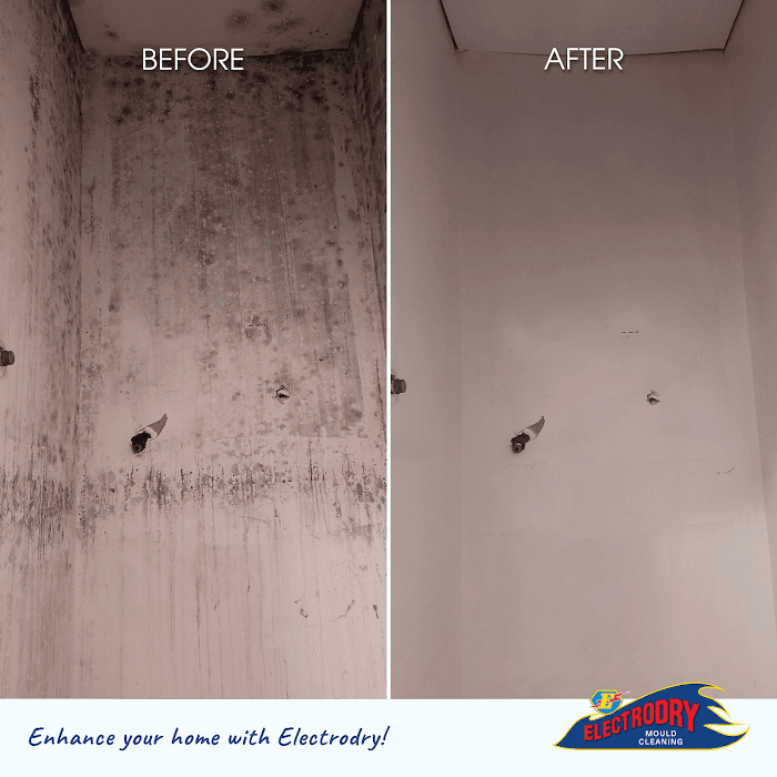Electrodry Carpet Dry Cleaning Bendigo — photo 3