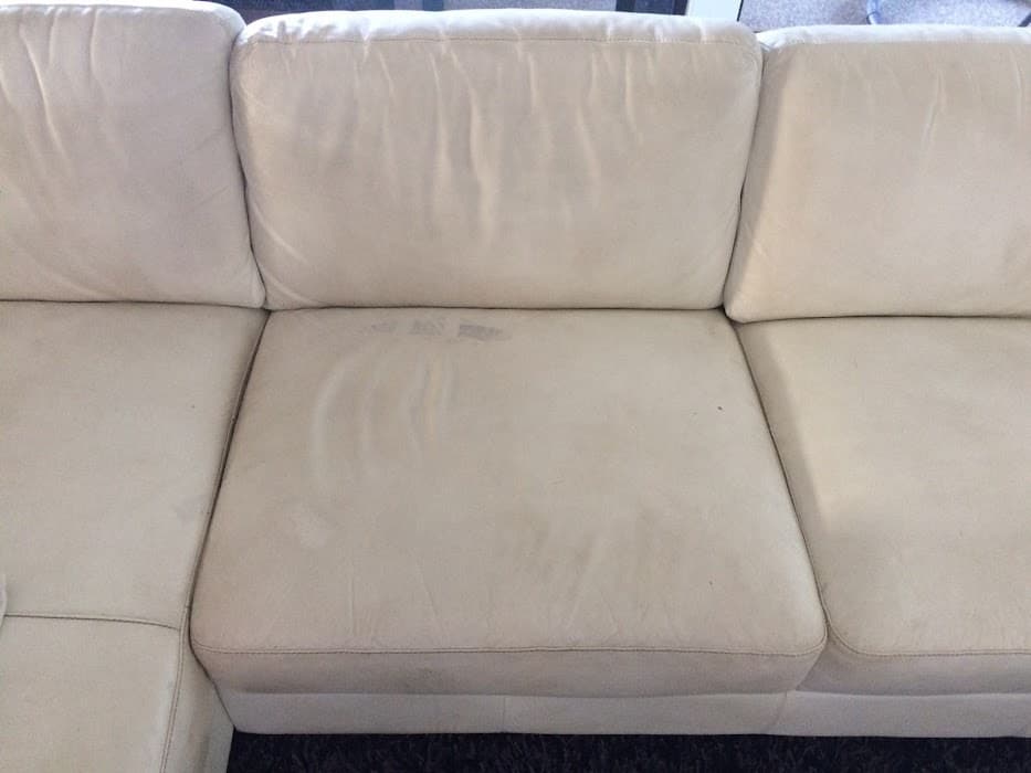Electrodry Carpet Dry Cleaning Bendigo — photo 4
