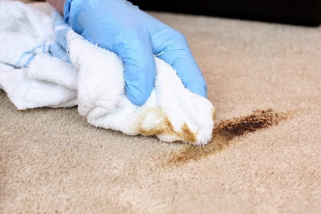 Electrodry Carpet Dry Cleaning Bendigo — photo 6
