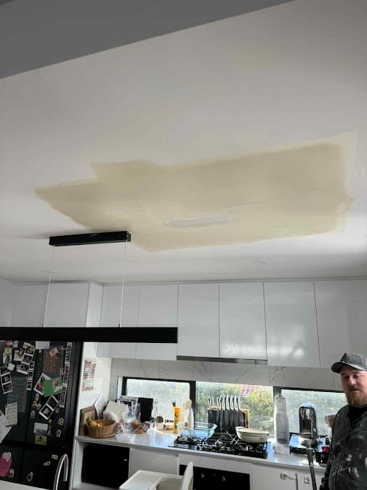 Master Ceiling and Wall Repairs Geelong South — photo 1