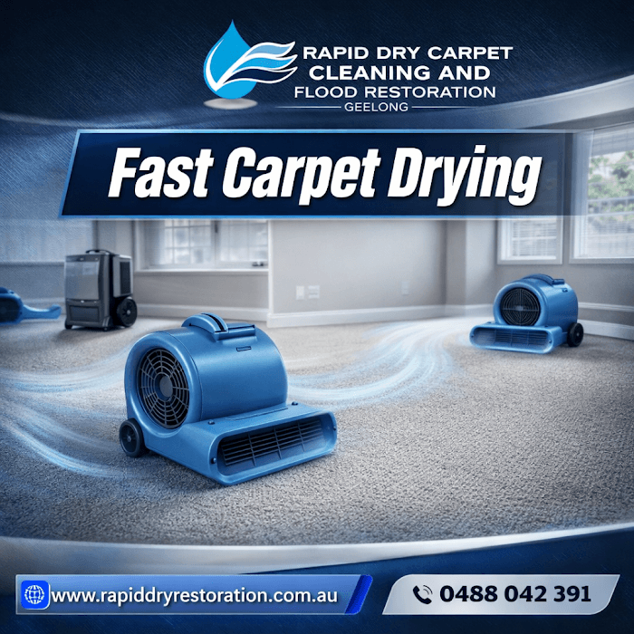 Rapid Dry Carpet Cleaning and Flood Restoration Geelong — photo 1