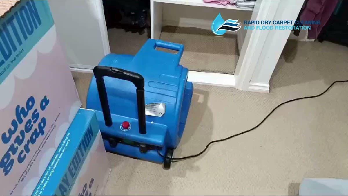 Rapid Dry Carpet Cleaning and Flood Restoration Geelong — photo 3