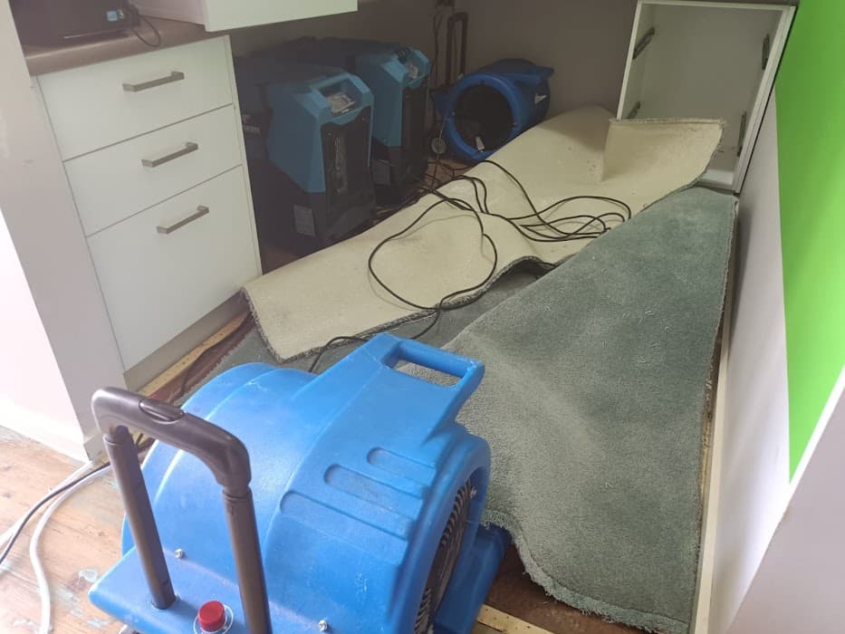 Rapid Dry Carpet Cleaning and Flood Restoration Geelong — photo 5