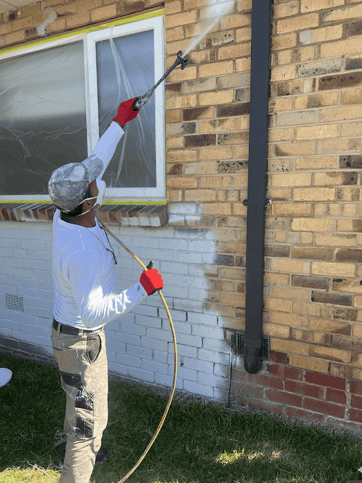 Orchid House Painters — photo 5