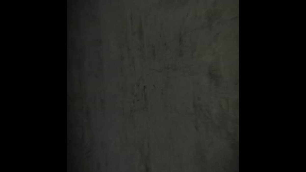 Precious Wall Finishes — photo 2