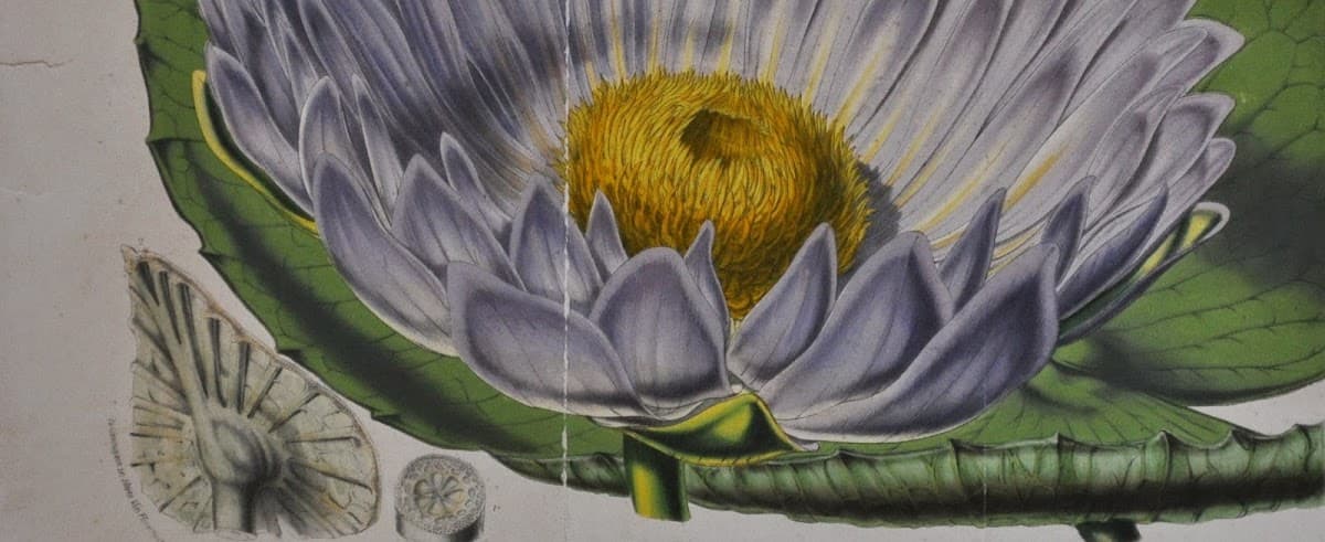 Melbourne Art Conservation Services — photo 1