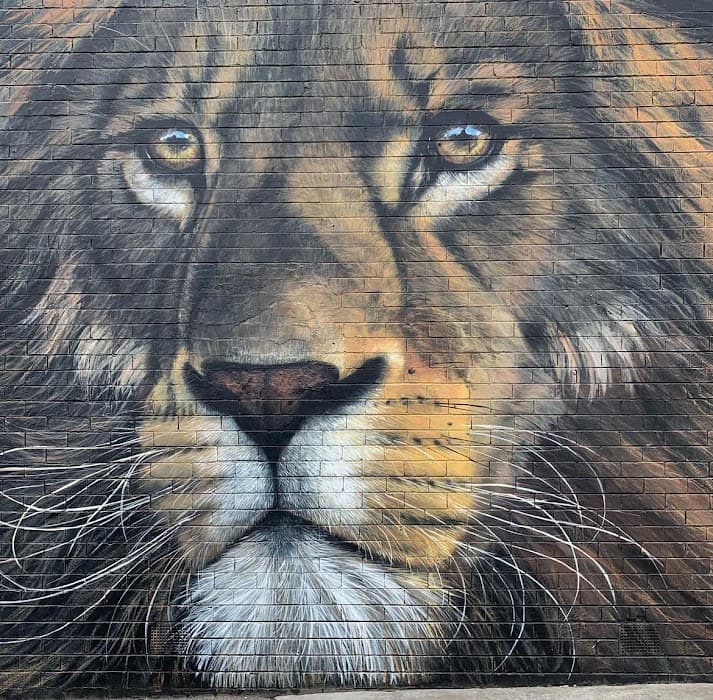 Melbourne’s Murals — photo 5
