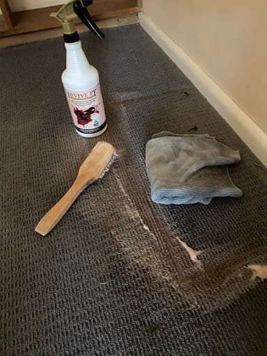 Carpet tek cleaning Mildura — listing photo