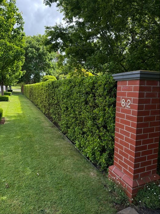 Wollaston Gardening Maintenance — photo 2