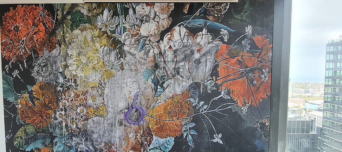 AWI Australian Wallpaper Installers — photo 2