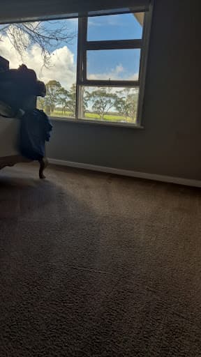 Davey Carpet Cleaning - Flood & Water Damage Restoration, Upholstery Cleaning, Hard Floor Cleaning