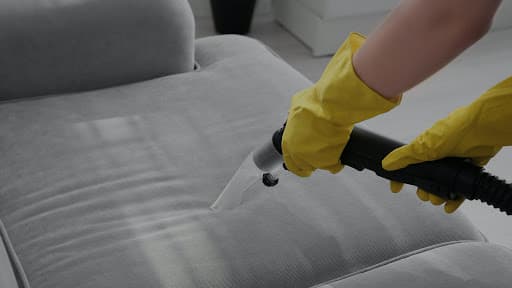 Penguin Cleaning