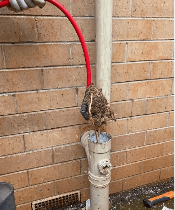 ASAP Local Plumbing — photo 1